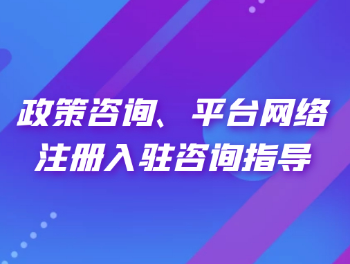 政策咨詢、平臺(tái)網(wǎng)絡(luò)注冊(cè)入駐咨詢指導(dǎo)